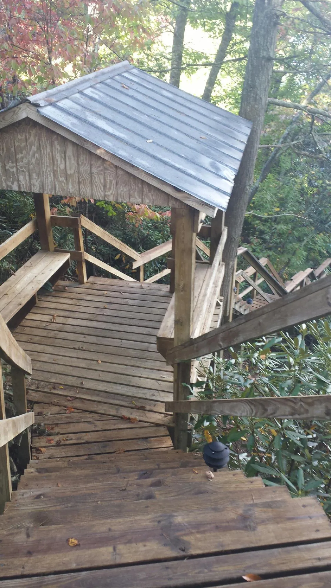 Metal roofed shelter over wooden steps on a wooded walkway — Skylight Repair & Installation work by our crew in New Port Richey